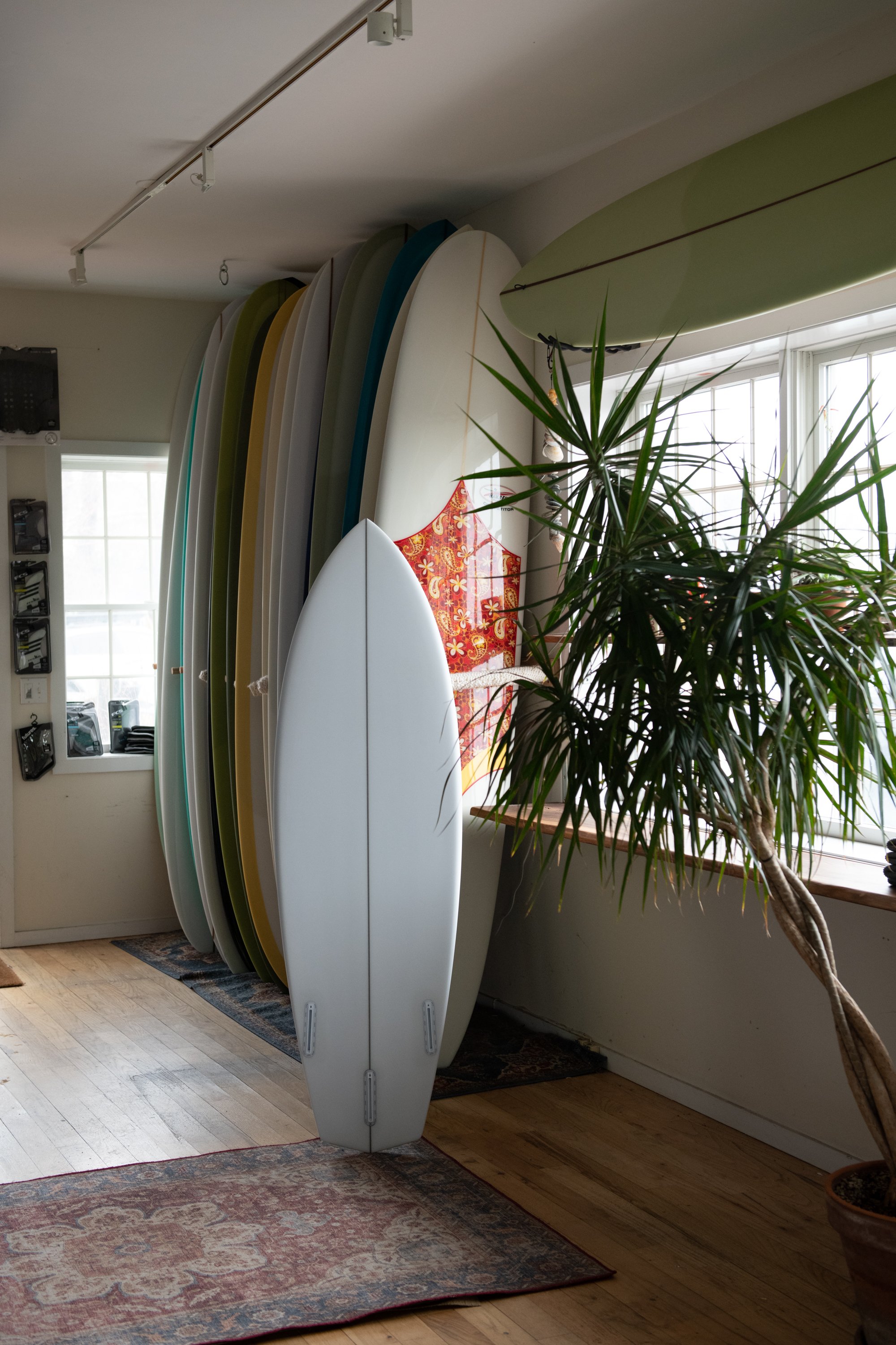 Tyler Warren Surfboards